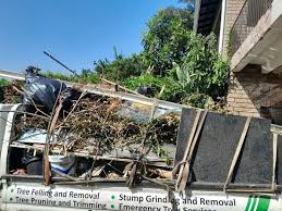 Best Hoarding Cleanup  in Douglas, GA